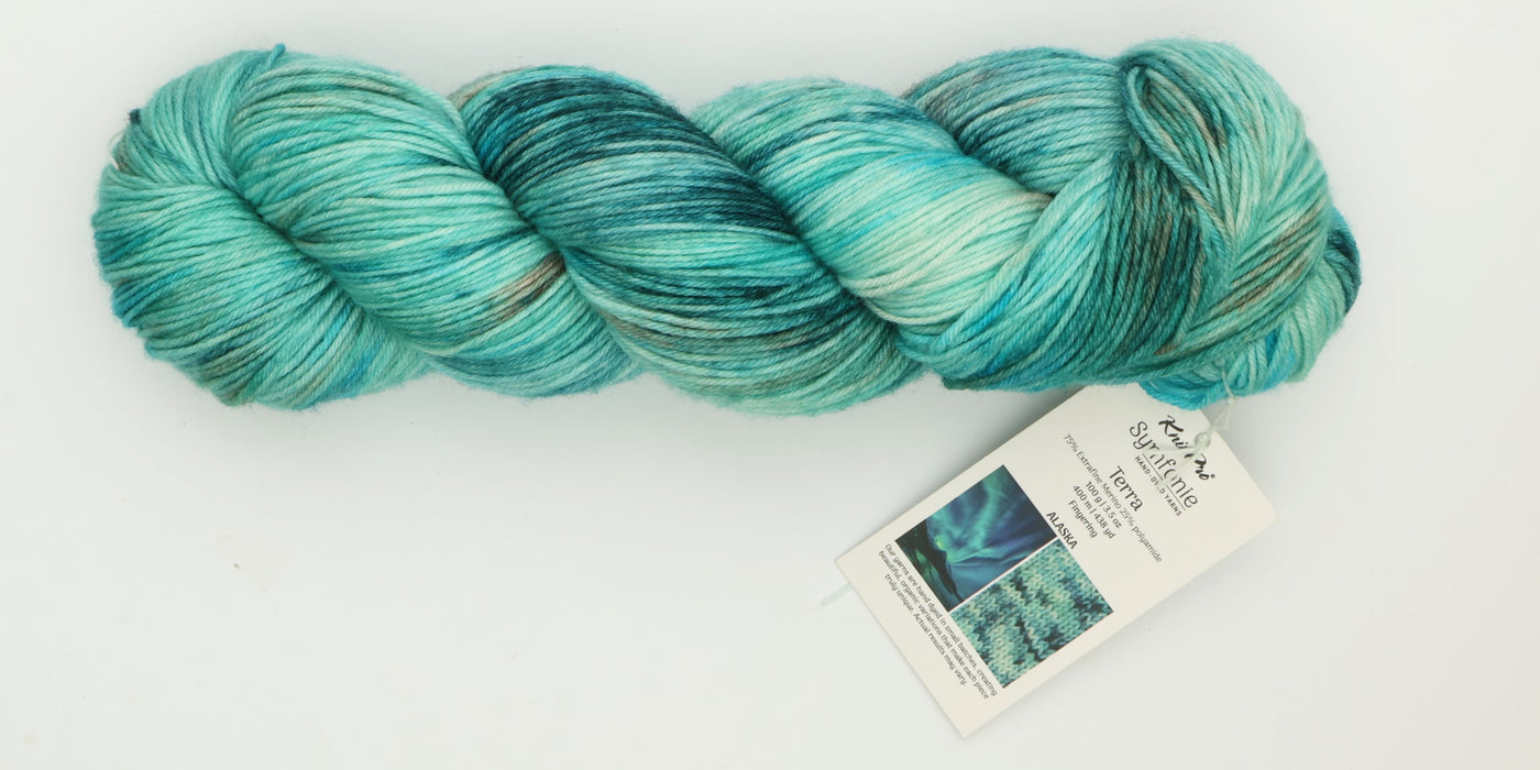 Symfonie Hand Dyed Yarns - Terra Variegated (Superwash Merino & Nylon Sock Yarn) - Alaska (3.5 oz / 438 yds)