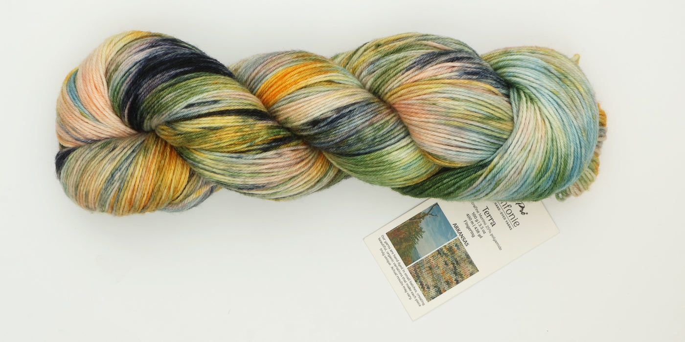 Symfonie Hand Dyed Yarns - Terra Variegated (Superwash Merino & Nylon Sock Yarn) - Arkansas (3.5 oz / 438 yds)