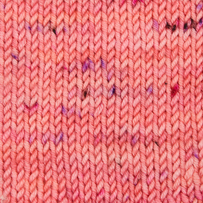 Symfonie Hand Dyed Yarns - Viva Variegated - Superwash Merino DK - Blush
