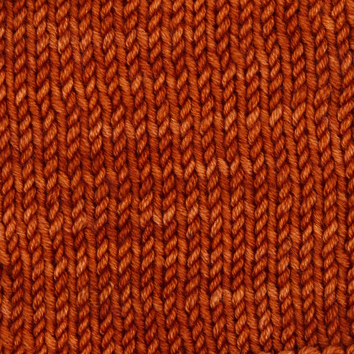 Symfonie Hand Dyed Yarns - Viva - Superwash Merino DK - Burnt Sugar