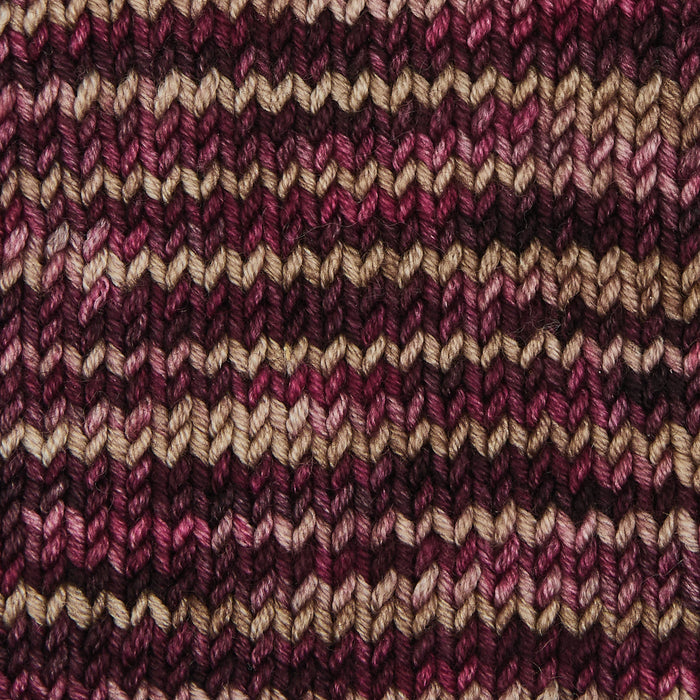 Symfonie Hand Dyed Yarns - Viva Variegated - Superwash Merino DK - Cafe Rose