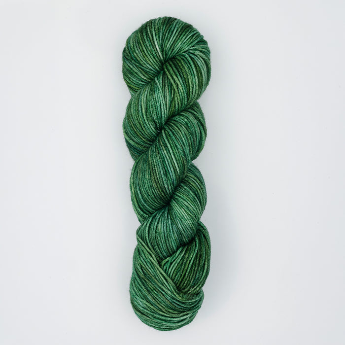 Symfonie Hand Dyed Yarns - Viva Variegated - Superwash Merino DK - Fernfall
