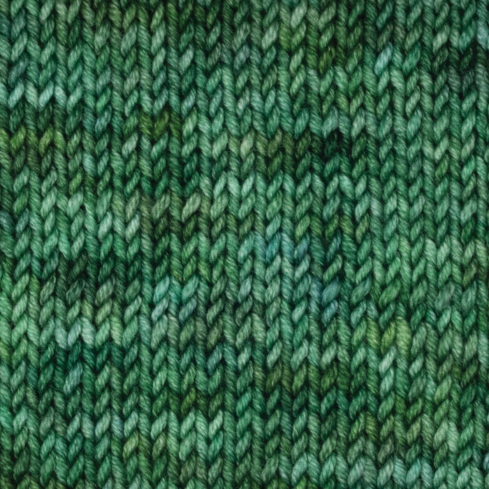 Symfonie Hand Dyed Yarns - Viva Variegated - Superwash Merino DK - Fernfall