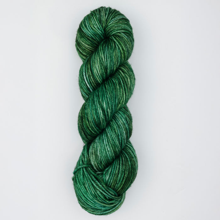 Symfonie Hand Dyed Yarns -  Bella Variegated - Extrafine Merino (Worsted) - Fernfall