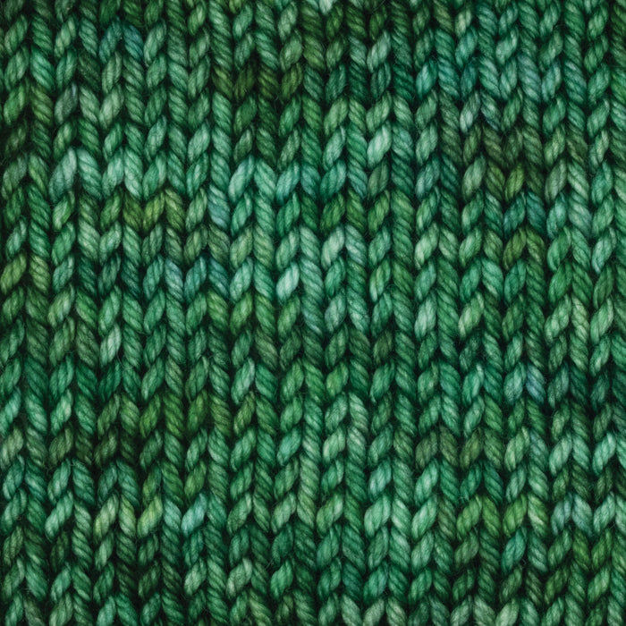 Symfonie Hand Dyed Yarns -  Bella Variegated - Extrafine Merino (Worsted) - Fernfall