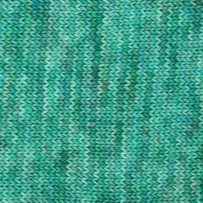 Symfonie Hand Dyed Yarns - Terra Variegated (Superwash Merino & Nylon Sock Yarn) - Florida (3.5 oz / 438 yds)