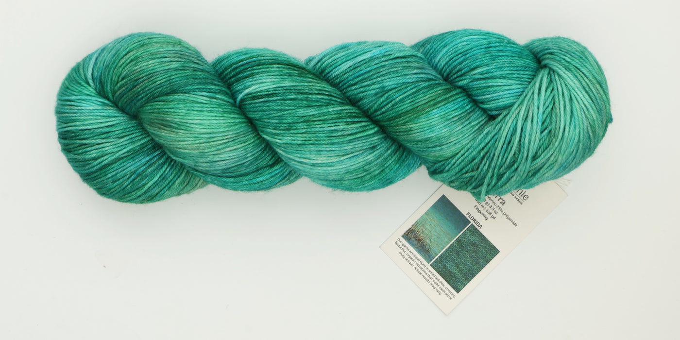 Symfonie Hand Dyed Yarns - Terra Variegated (Superwash Merino & Nylon Sock Yarn) - Florida (3.5 oz / 438 yds)