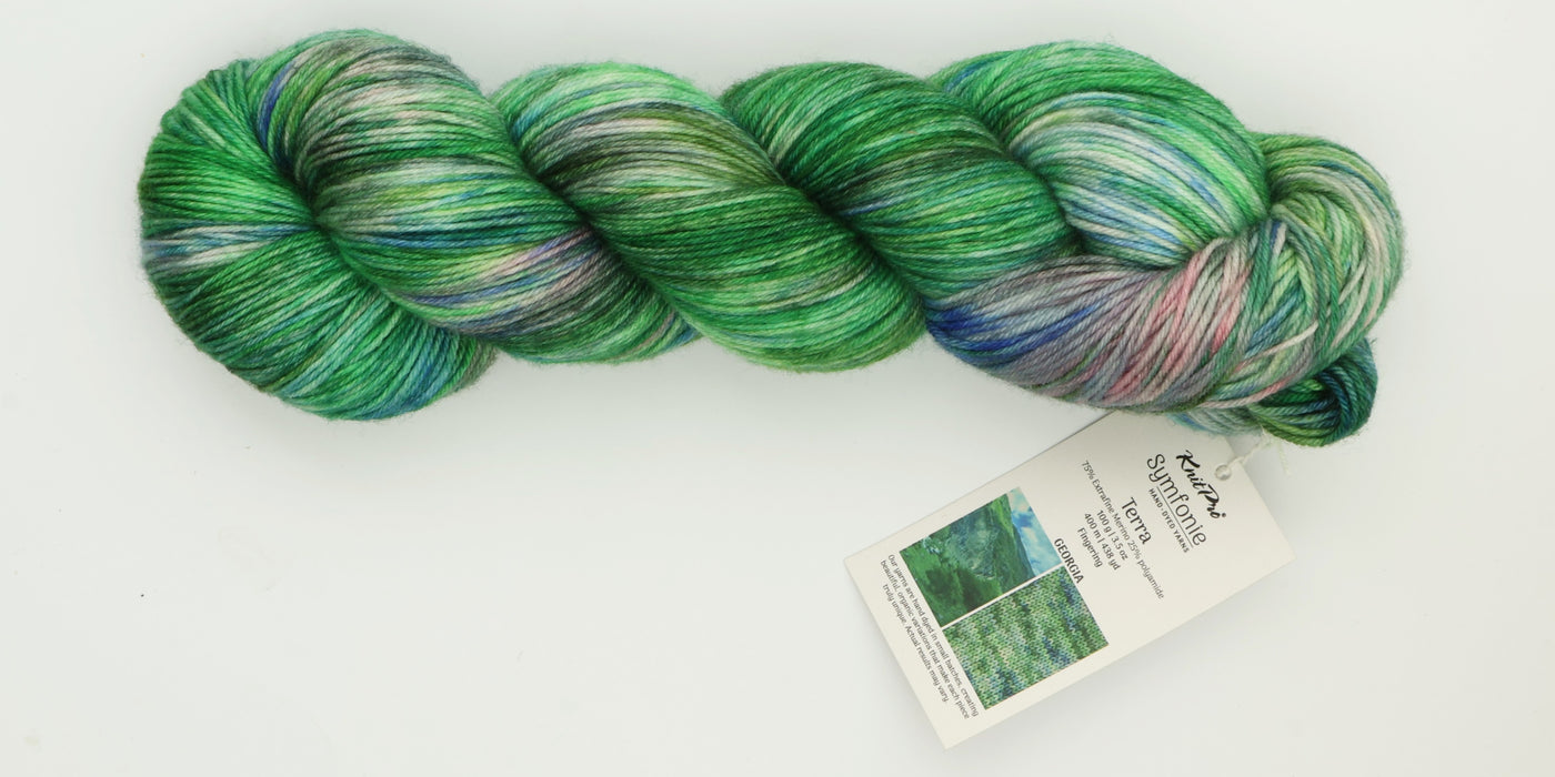 Symfonie Hand Dyed Yarns - Terra Variegated (Superwash Merino & Nylon Sock Yarn) - Georgia (3.5 oz / 438 yds)