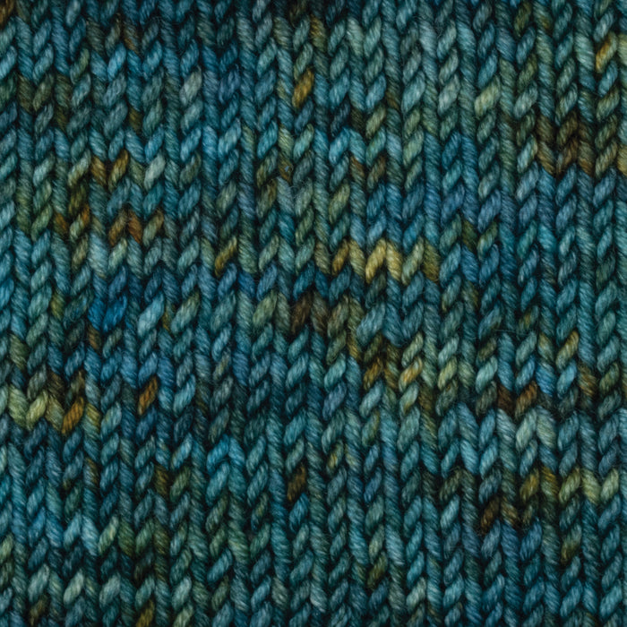 Symfonie Hand Dyed Yarns - Viva Variegated - Superwash Merino DK - Gulf Coast