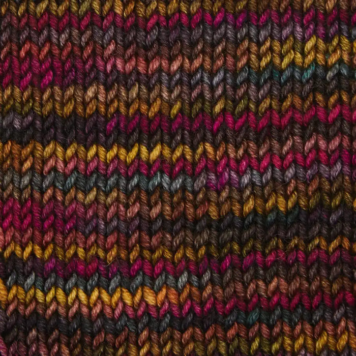 Symfonie Hand Dyed Yarns - Viva Variegated - Superwash Merino DK - Harvest Vine