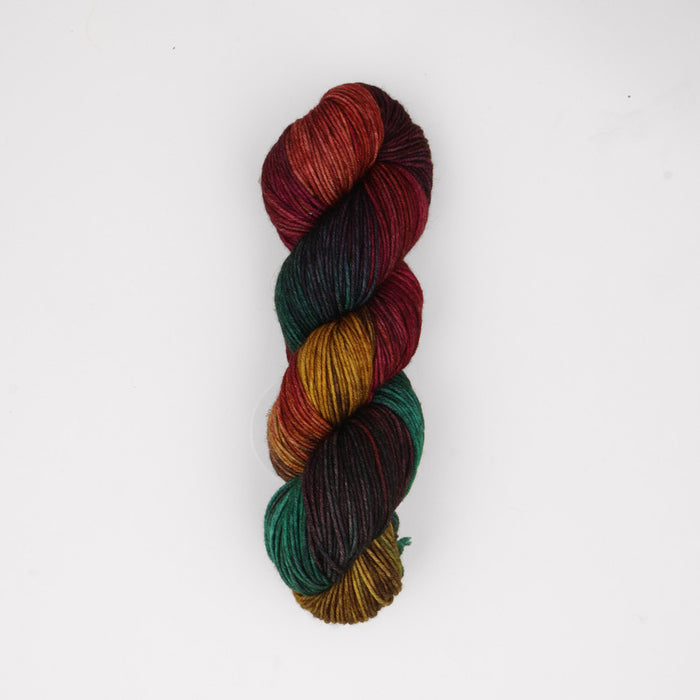 Symfonie Hand Dyed Yarns - Viva Variegated - Superwash Merino DK - Harvest Vine