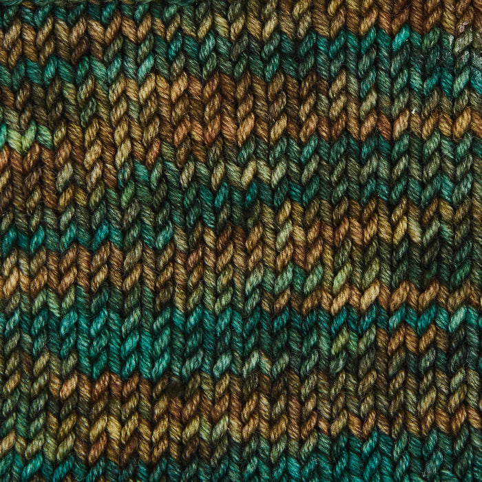 Symfonie Hand Dyed Yarns - Viva Variegated - Superwash Merino DK - Himalayas