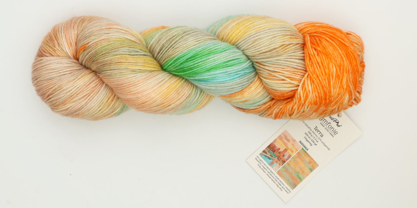 Symfonie Hand Dyed Yarns - Terra Variegated (Superwash Merino & Nylon Sock Yarn) - Indiana (3.5 oz / 438 yds)