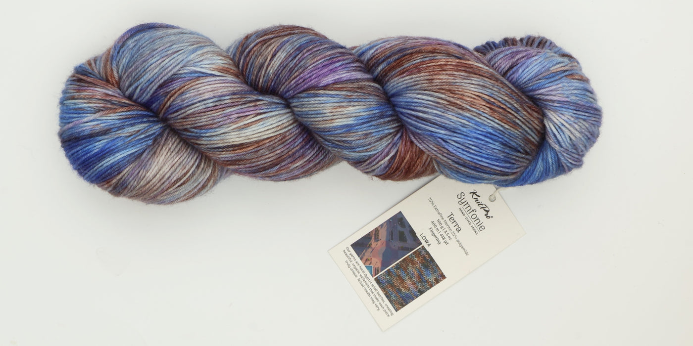 Symfonie Hand Dyed Yarns - Terra Variegated (Superwash Merino & Nylon Sock Yarn) - Iowa (3.5 oz / 438 yds)