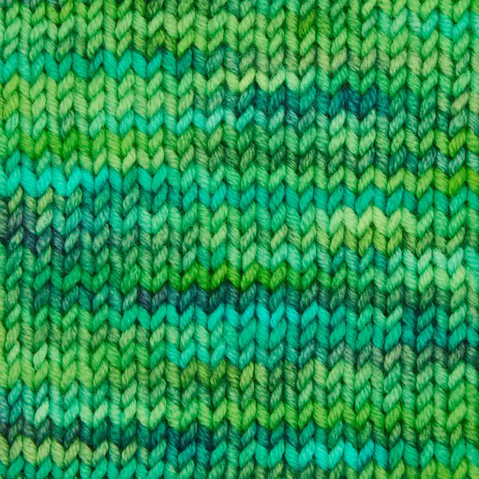 Symfonie Hand Dyed Yarns - Viva Variegated - Superwash Merino DK - Jungle Secrets