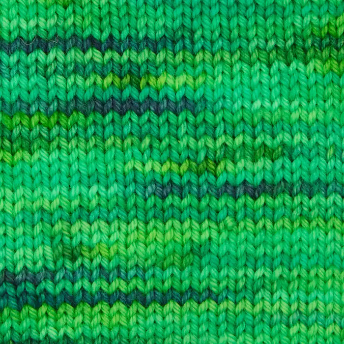 Symfonie Hand Dyed Yarns -  Bella Variegated- Extrafine Merino (Worsted) - Jungle Secrets