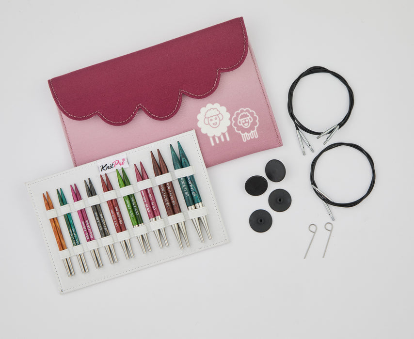 KnitPro - Dreamz - 4 in. Special IC Deluxe Set