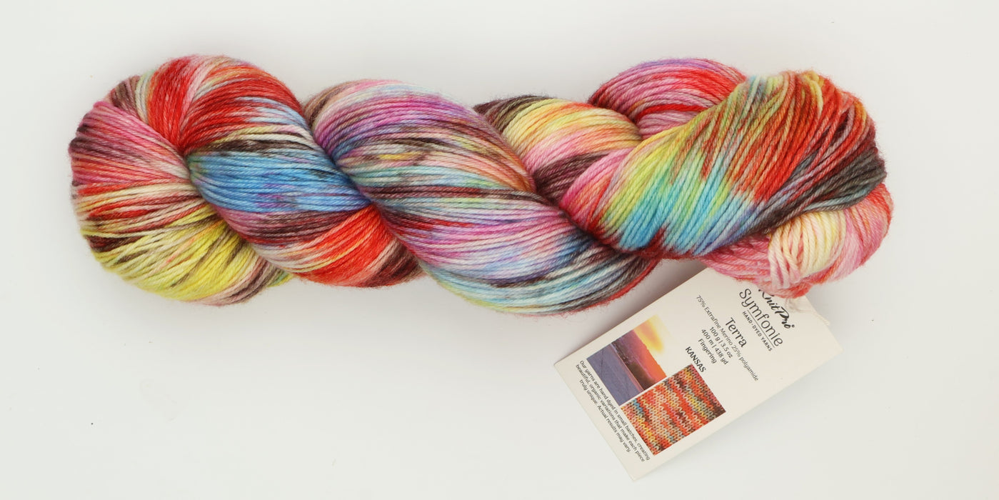 Symfonie Hand Dyed Yarns - Terra Variegated (Superwash Merino & Nylon Sock Yarn) - Kansas (3.5 oz / 438 yds)