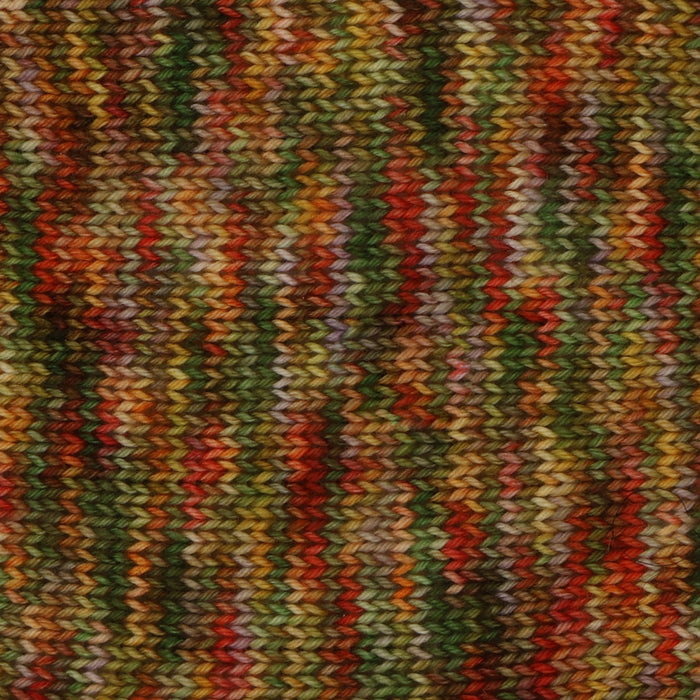Symfonie Hand Dyed Yarns - Terra Variegated (Superwash Merino & Nylon Sock Yarn) - Kentucky (3.5 oz / 438 yds)