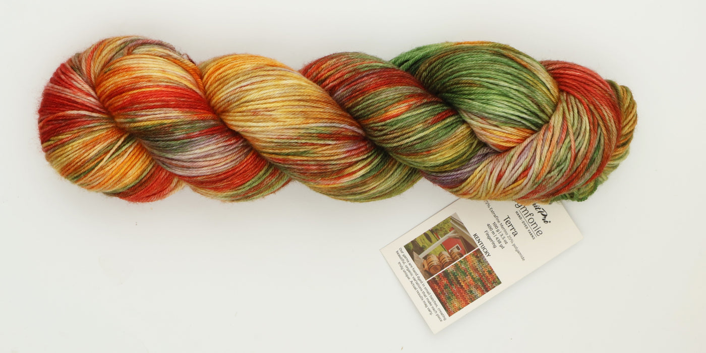 Symfonie Hand Dyed Yarns - Terra Variegated (Superwash Merino & Nylon Sock Yarn) - Kentucky (3.5 oz / 438 yds)