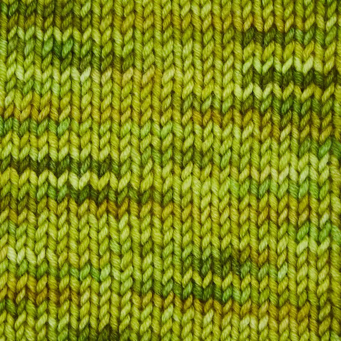 Symfonie Hand Dyed Yarns - Viva Variegated - Superwash Merino DK - Matcha