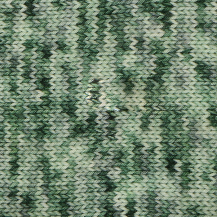 Symfonie Hand Dyed Yarns - Terra Variegated (Superwash Merino & Nylon Sock Yarn) - Maine (3.5 oz / 438 yds)