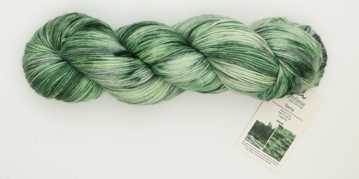 Symfonie Hand Dyed Yarns - Terra Variegated (Superwash Merino & Nylon Sock Yarn) - Maine (3.5 oz / 438 yds)