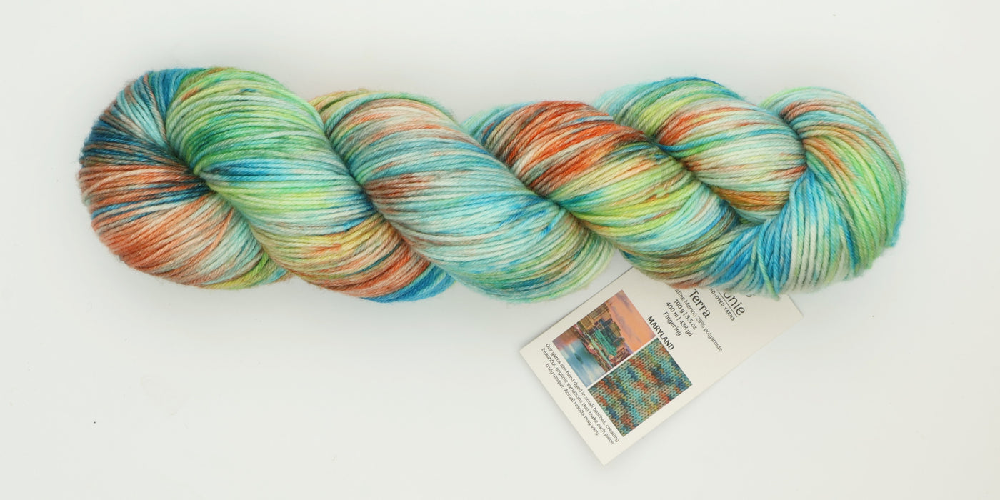 Symfonie Hand Dyed Yarns - Terra Variegated (Superwash Merino & Nylon Sock Yarn) - Maryland (3.5 oz / 438 yds)