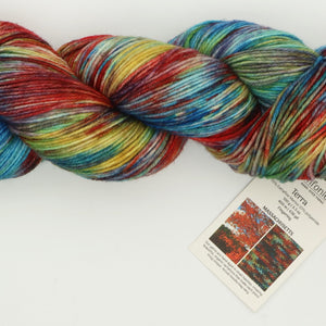 Symfonie Hand Dyed Yarns - Terra Variegated (Superwash Merino & Nylon Sock Yarn) - Massachusetts (3.5 oz / 438 yds)