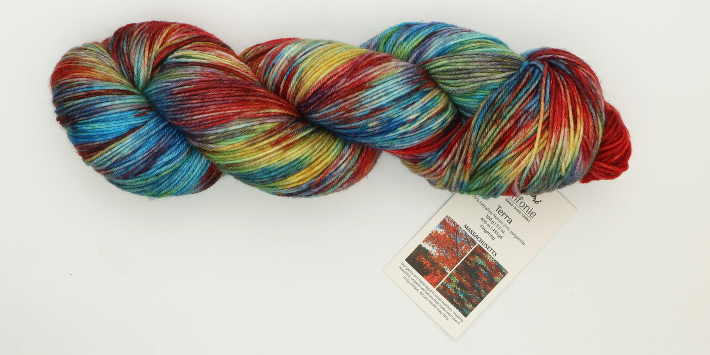 Symfonie Hand Dyed Yarns - Terra Variegated (Superwash Merino & Nylon Sock Yarn) - Massachusetts (3.5 oz / 438 yds)