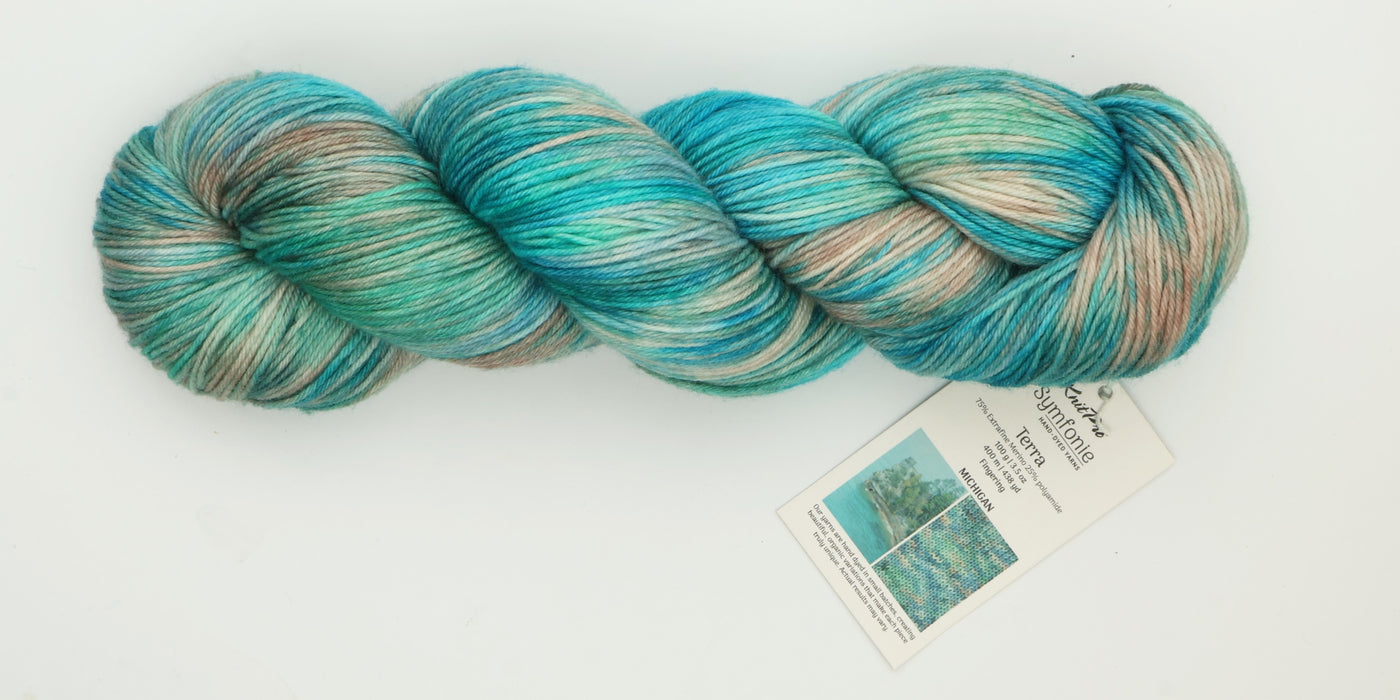 Symfonie Hand Dyed Yarns - Terra Variegated (Superwash Merino & Nylon Sock Yarn) - Michigan (3.5 oz / 438 yds)