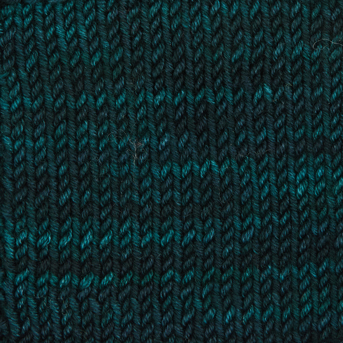 Symfonie Hand Dyed Yarns - Viva - Superwash Merino DK - Midnight Forest