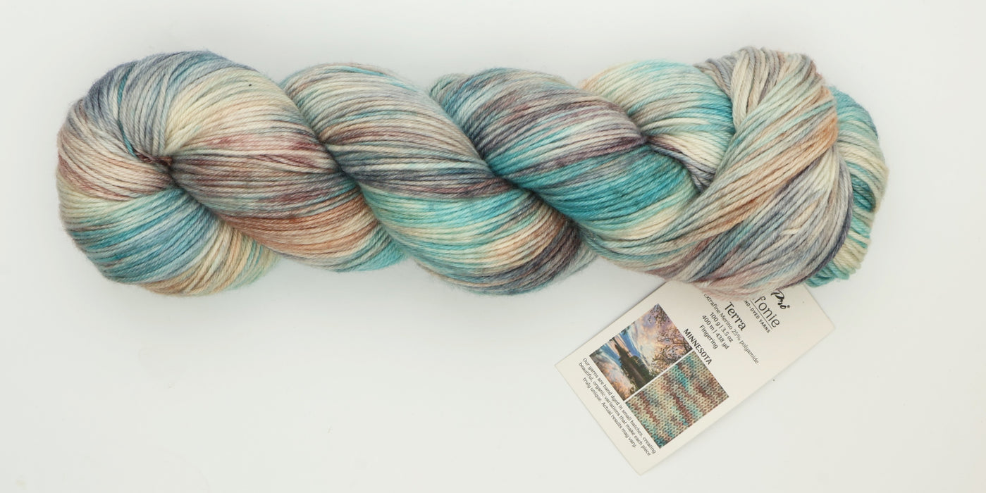 Symfonie Hand Dyed Yarns - Terra Variegated (Superwash Merino & Nylon Sock Yarn) - Minnesota (3.5 oz / 438 yds)