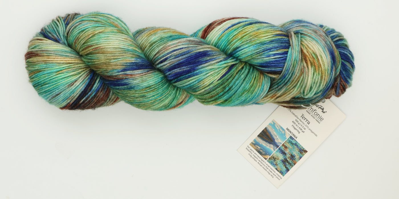 Symfonie Hand Dyed Yarns - Terra Variegated (Superwash Merino & Nylon Sock Yarn) - Montana (3.5 oz / 438 yds)