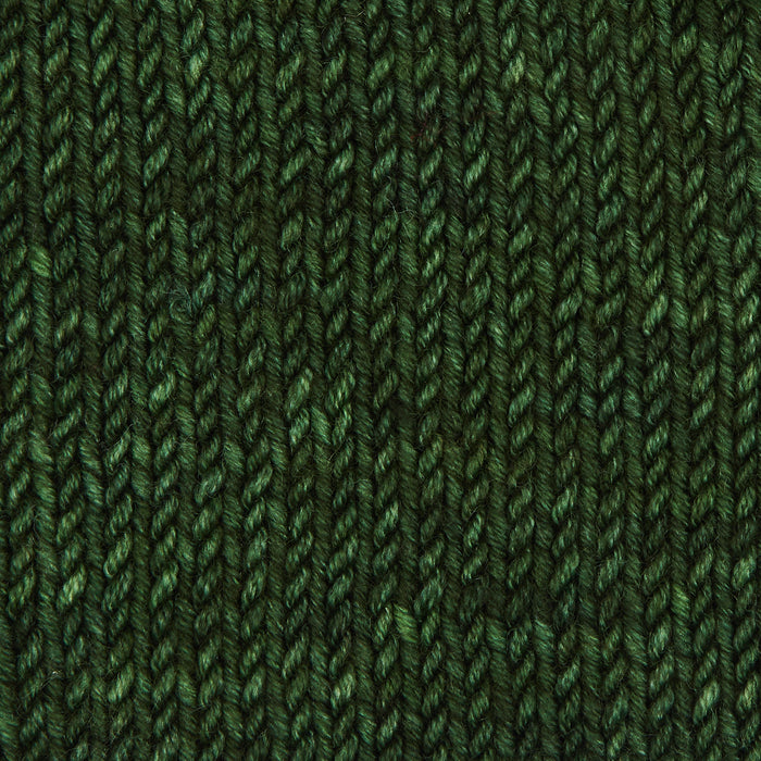 Symfonie Hand Dyed Yarns - Viva - Superwash Merino DK - Moss