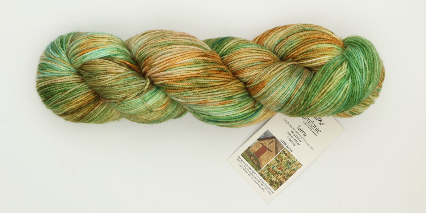 Symfonie Hand Dyed Yarns - Terra Variegated (Superwash Merino & Nylon Sock Yarn) - Nebraska (3.5 oz / 438 yds)