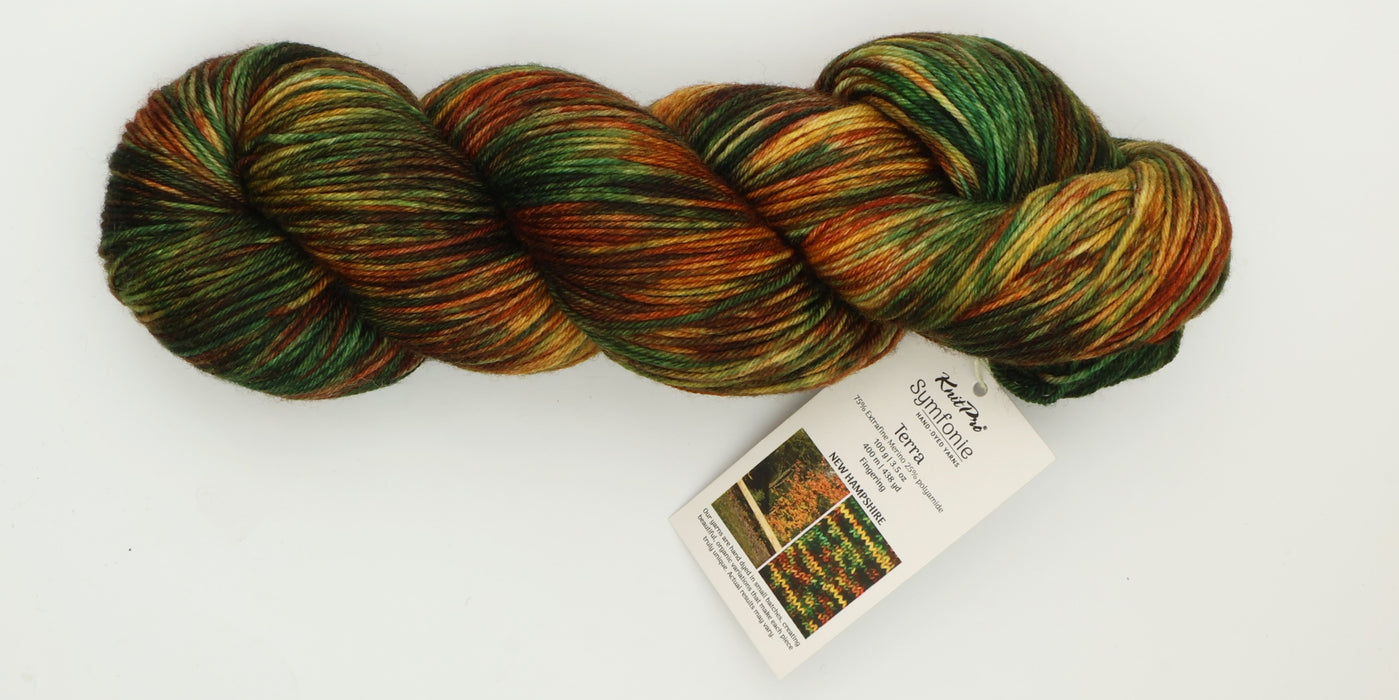 Symfonie Hand Dyed Yarns - Terra Variegated (Superwash Merino & Nylon Sock Yarn) - New Hampshire (3.5 oz / 438 yds)