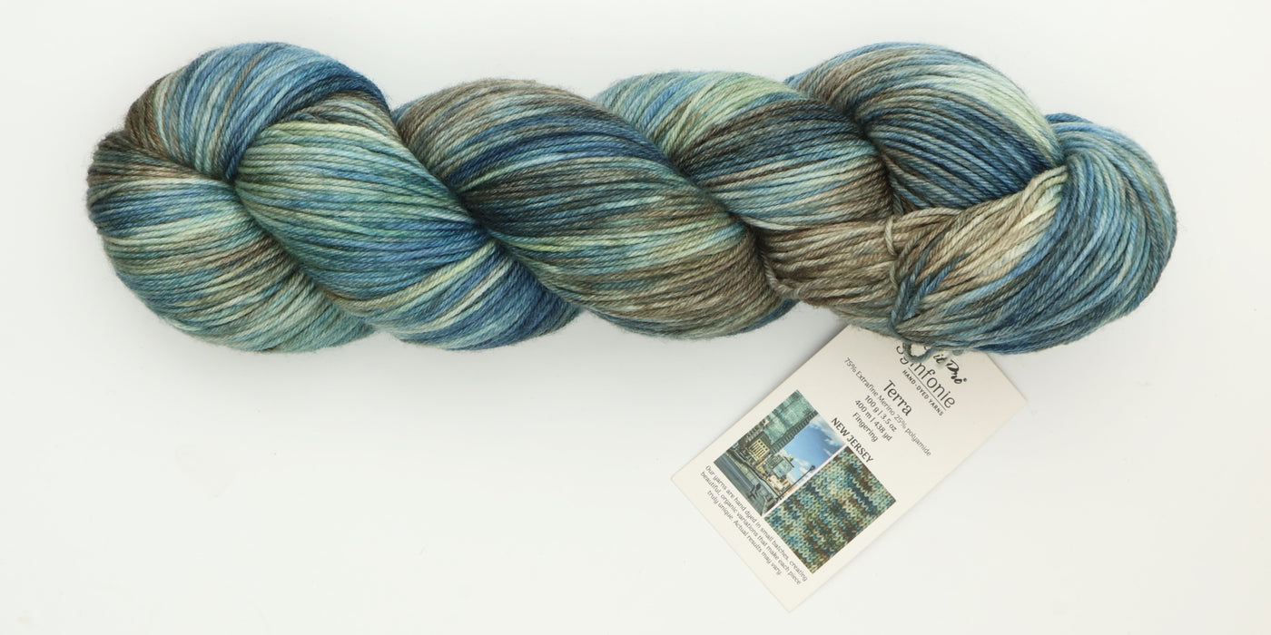 Symfonie Hand Dyed Yarns - Terra Variegated (Superwash Merino & Nylon Sock Yarn) - New Jersey (3.5 oz / 438 yds)