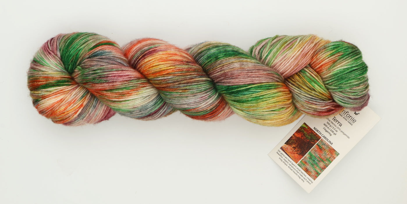 Symfonie Hand Dyed Yarns - Terra Variegated (Superwash Merino & Nylon Sock Yarn) - North Carolina (3.5 oz / 438 yds)