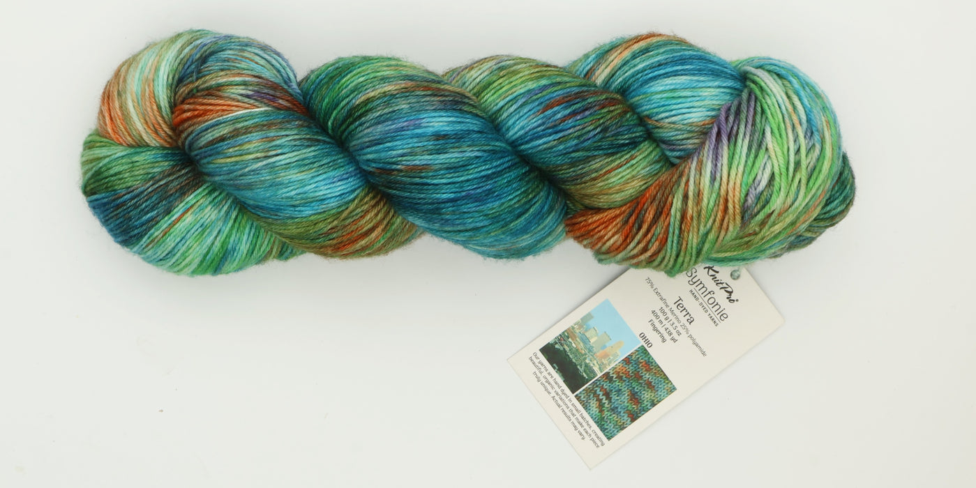Symfonie Hand Dyed Yarns - Terra Variegated (Superwash Merino & Nylon Sock Yarn) - Ohio  (3.5 oz / 438 yds)