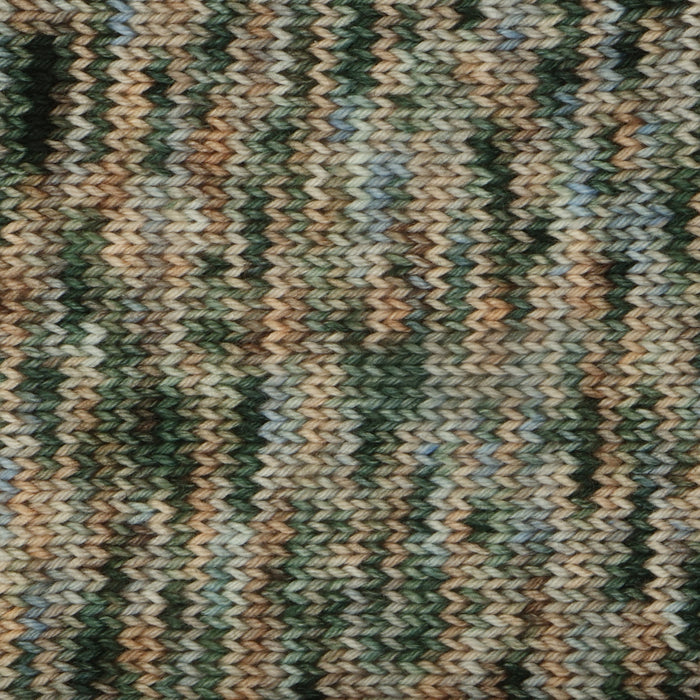Symfonie Hand Dyed Yarns - Terra Variegated (Superwash Merino & Nylon Sock Yarn) - Oregon (3.5 oz / 438 yds)