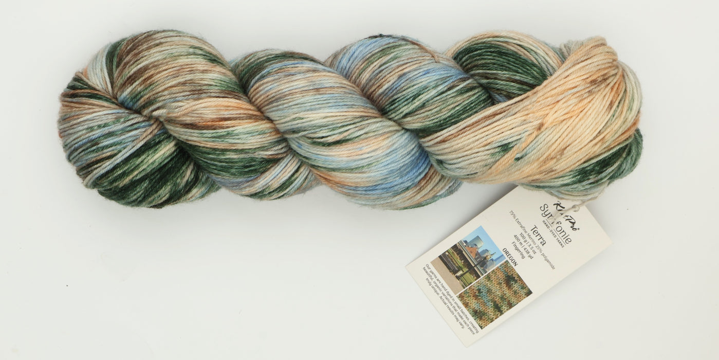 Symfonie Hand Dyed Yarns - Terra Variegated (Superwash Merino & Nylon Sock Yarn) - Oregon (3.5 oz / 438 yds)