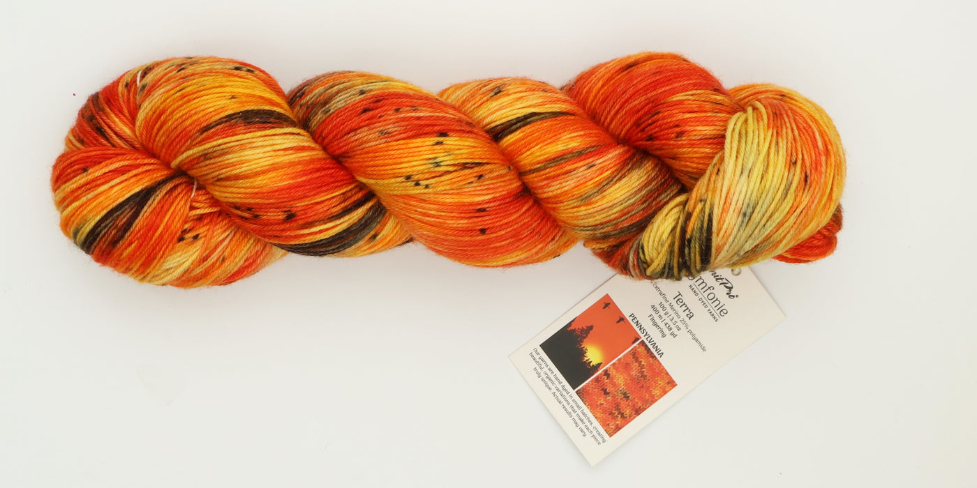 Symfonie Hand Dyed Yarns - Terra Variegated (Superwash Merino & Nylon Sock Yarn) - Pennsylvania  (3.5 oz / 438 yds)