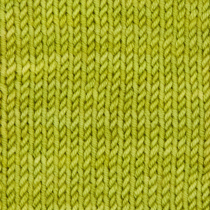 Symfonie Hand Dyed Yarns - Viva - Superwash Merino DK - Pistachio