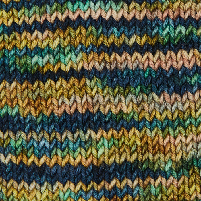 Symfonie Hand Dyed Yarns - Viva Variegated - Superwash Merino DK - Riverbank