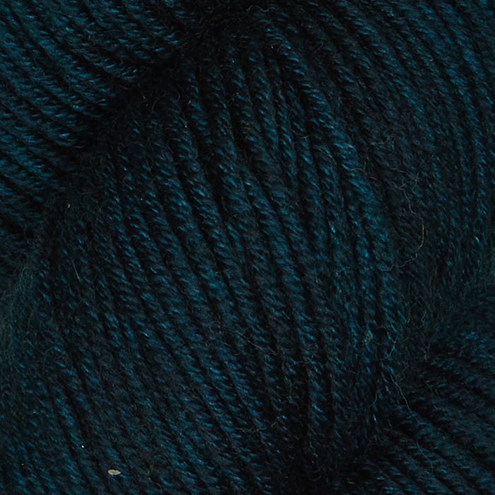 Symfonie Hand Dyed Yarns - Viva - Superwash Merino DK - Midnight Forest