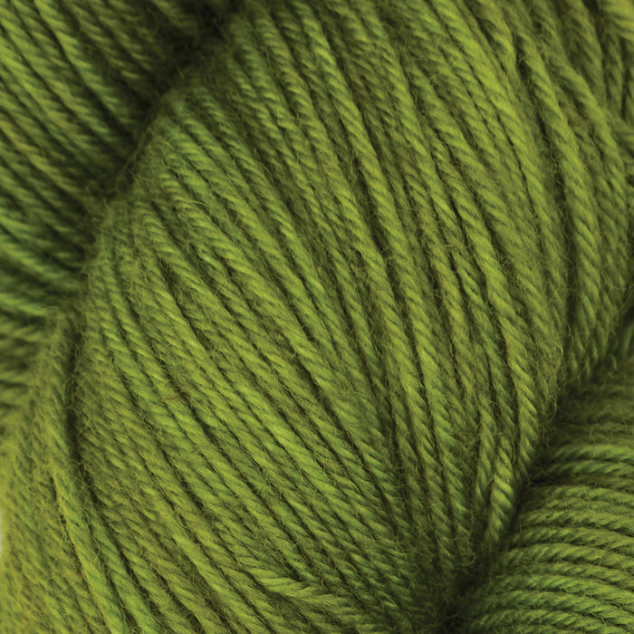 Symfonie Hand Dyed Yarns - Terra - (Superwash Merino & Nylon Sock Yarn) - Rain Forest