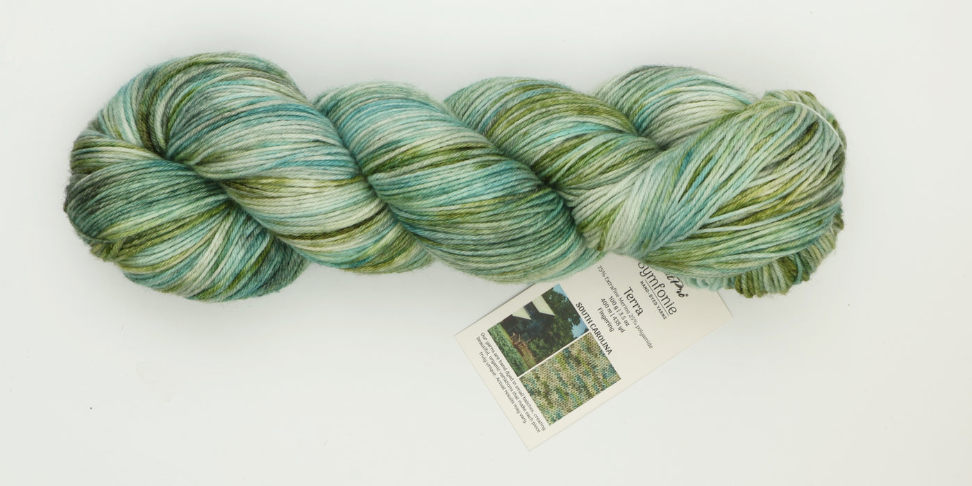 Symfonie Hand Dyed Yarns - Terra Variegated (Superwash Merino & Nylon Sock Yarn) - South Carolina (3.5 oz / 438 yds)