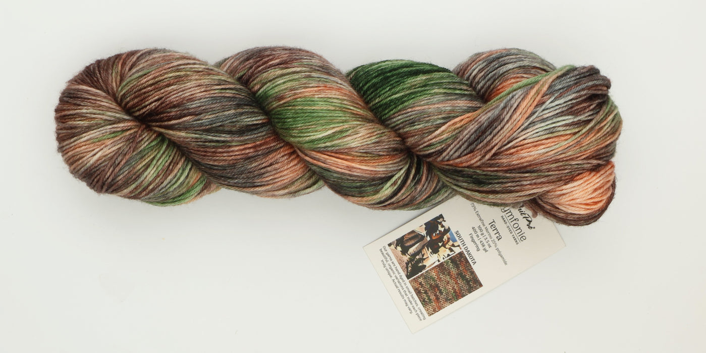 Symfonie Hand Dyed Yarns - Terra Variegated (Superwash Merino & Nylon Sock Yarn) - South Dakota  (3.5 oz / 438 yds)