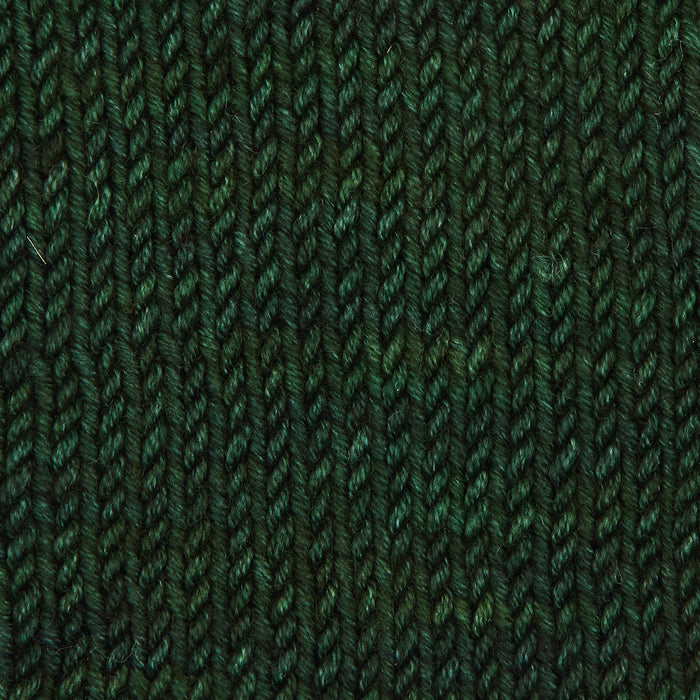 Symfonie Hand Dyed Yarns - Viva - Superwash Merino DK - Spinach Leaf